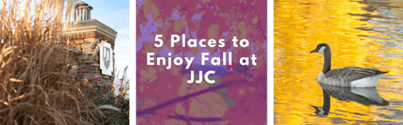 5 Places to Enjoy Fall at JJC