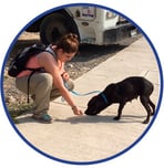 JJC Vet Tech Belize