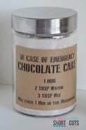 Emergency-Chocolate-Mug-Cake-5-400x600.jpg