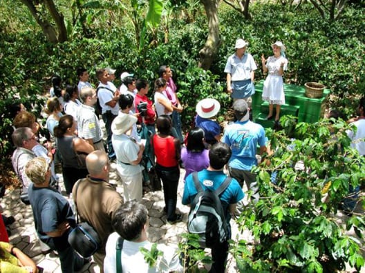 cafe britt coffee planation jjc joliet junior college students study abroad in costa rica