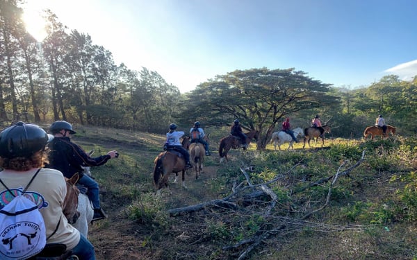 costa rica horse jjc joliet junior college students study abroad in costa rica