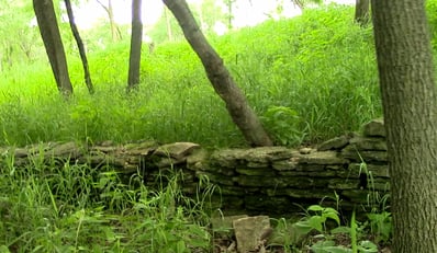 5 things to spot on jjc's nature trails jjc joliet junior college limestone wall civil war