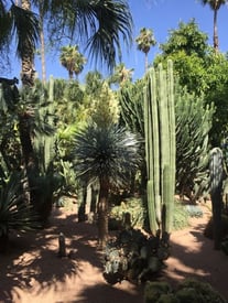 jjc students study abroad in morocco marrakech majorelle gardens joliet junior college