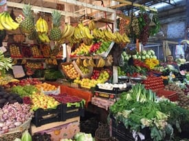 jjc students study abroad in morocco fruit stand joliet junior college