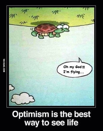 turtle optimism best way to see life  joliet junior college jjc 10 motivators