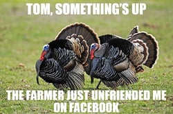 Thanksgiving Meme JJC