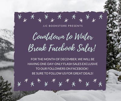 Winter Sales Flyer